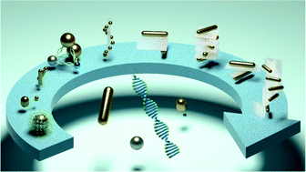 Graphical abstract: Progress and perspective on chiral plasmonic nanostructures enabled by DNA programming methodology