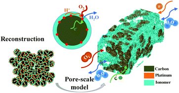 Graphical abstract: Interlink among catalyst loading, transport and performance of proton exchange membrane fuel cells: a pore-scale study