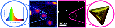 Graphical abstract: Correlating structure, morphology and properties of metal nanostructures by combining single-particle optical spectroscopy and electron microscopy