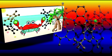 Graphical abstract: Taming salophen in rare earth metallocene chemistry