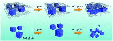 Graphical abstract: A CoSe2-based 3D conductive network for high-performance potassium storage: enhancing charge transportation by encapsulation and restriction strategy