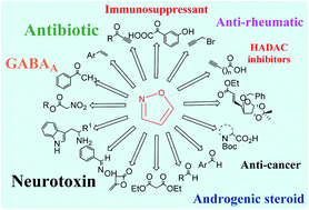 Graphical abstract: An overview of metal-free synthetic routes to isoxazoles: the privileged scaffold