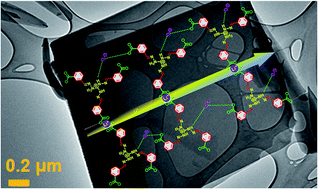 Graphical abstract: Self-assembled cationic organic nanosheets: role of positional isomers in a guanidinium-core for efficient lithium-ion conduction