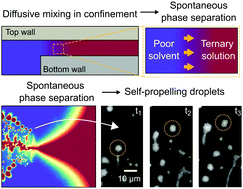 Graphical abstract: Propelling microdroplets generated and sustained by liquid–liquid phase separation in confined spaces