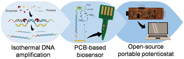 Graphical abstract: Portable electroanalytical nucleic acid amplification tests using printed circuit boards and open-source electronics