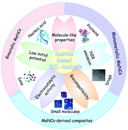 Graphical abstract: Recent progress of metal nanoclusters in electrochemiluminescence