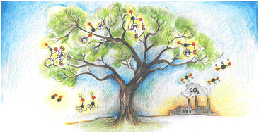 Graphical abstract: Recent developments on the transformation of CO2 utilising ligand cooperation and related strategies