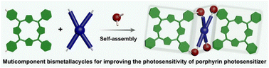 Graphical abstract: cis-Dipyridyl porphyrin-based multicomponent organoplatinum(ii) bismetallacycles for photocatalytic oxidation