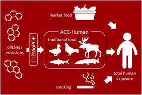 Graphical abstract: A multi-pathway exposure assessment for polycyclic aromatic hydrocarbons among residents in the Athabasca oil sands region, Canada