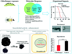 Graphical abstract: Combination of a nanocarrier delivery system with genetic manipulation further improves pesticide efficiency: a case study with chlorfenapyr