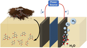 Graphical abstract: Electro-oxidative depolymerization of lignin for production of value-added chemicals