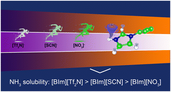 Graphical abstract: Theoretical insights into NH3 absorption mechanisms with imidazolium-based protic ionic liquids