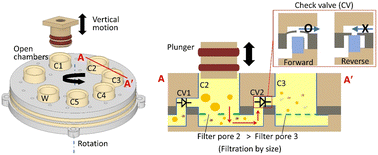 Graphical abstract: Size-selective filtration of extracellular vesicles with a movable-layer device