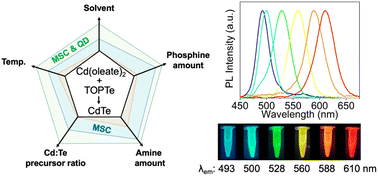 Graphical abstract: Mapping the reaction zones for CdTe magic-sized clusters and their emission properties