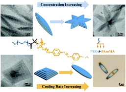 Graphical abstract: Formation of hierarchical platelets with morphological control by self-assembly of an azobenzene-containing liquid crystalline diblock copolymer