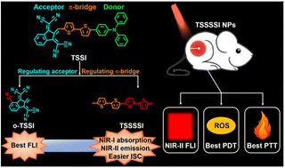 Graphical abstract: Theoretical insights into the rational design of small organic phototheranostic agents for promoting image-guided cancer surgery