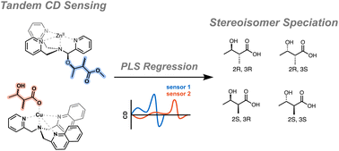 Graphical abstract: Determination of enantiomeric excess and diastereomeric excess via optical methods. Application to α-methyl-β-hydroxy-carboxylic acids