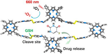 Graphical abstract: A biodegradable covalent organic framework for synergistic tumor therapy