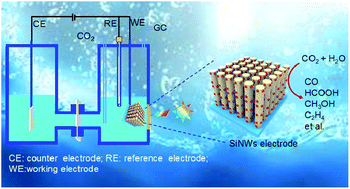 Graphical abstract: Fabrication of p-type silicon nanowire array based photoelectrodes for the efficient photoelectrocatalytic reduction of CO2 to fuels and chemicals