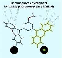 Graphical abstract: Modulating the triplet chromophore environment to prolong the emission lifetime of ultralong organic phosphorescence