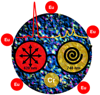 Graphical abstract: EuIII functionalized silica nanoparticles encapsulating chiral CrIII complexes with simultaneous unpolarized red and polarized NIR-I luminescence