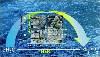 Graphical abstract: Single-step in situ synthesis of MoO2-faceted structures as highly efficient HER electrocatalysts and electrode materials for pseudocapacitors