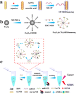 Graphical abstract: Quantitative SERS detection of multiple breast cancer miRNAs based on duplex specific nuclease-mediated signal amplification