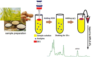 Graphical abstract: Extraction and determination of aflatoxin B1 in cereal samples using pH-switchable hydrophobic deep eutectic solvents followed by HPLC-FL analysis