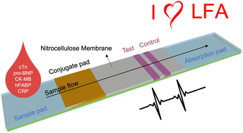 Graphical abstract: Advancements and future directions in cardiac biomarker detection using lateral flow assays