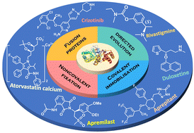 Graphical abstract: Engineering ketoreductases for the enantioselective synthesis of chiral alcohols