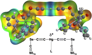Graphical abstract: Spodium bonding in bis(alkynyl)mecurials
