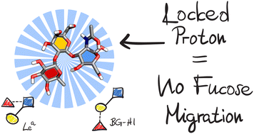 Graphical abstract: Reinvestigation of the internal glycan rearrangement of Lewis a and blood group type H1 epitopes