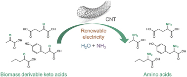 Graphical abstract: Electrocatalytic amino acid synthesis from biomass-derivable keto acids over ball milled carbon nanotubes