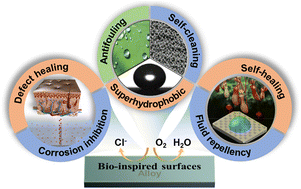 Graphical abstract: Anti-corrosion properties of bio-inspired surfaces: a systematic review of recent research developments