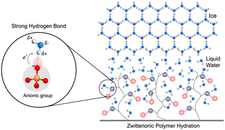 Graphical abstract: Molecular insights into the hydration of zwitterionic polymers