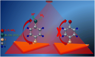 Graphical abstract: Ligand-mediated electron transport channels enhance photocatalytic activity of plasmonic nanoparticles