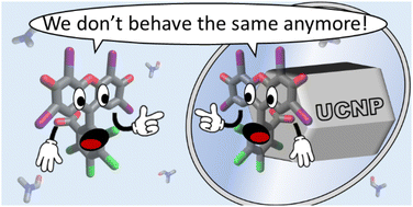 Graphical abstract: Synergistic or antagonistic effect of lanthanides on Rose Bengal photophysics in upconversion nanohybrids?