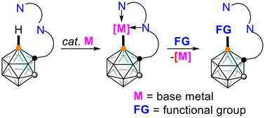 Graphical abstract: A strategy for regioselective B–H functionalization of o-carboranes via base metal catalysis