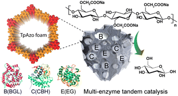 Graphical abstract: Hierarchical covalent organic framework-foam for multi-enzyme tandem catalysis