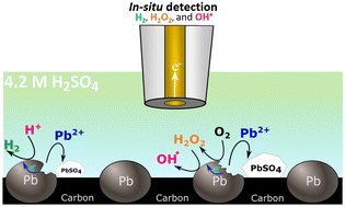 Graphical abstract: In situ detection of reactive oxygen species spontaneously generated on lead acid battery anodes: a pathway for degradation and self-discharge at open circuit