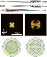 Graphical abstract: Topology of ferroelectric nematic droplets: the case driven by flexoelectricity or depolarization field