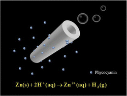 Graphical abstract: Preparation of acid-driven magnetically imprinted micromotors and selective loading of phycocyanin