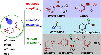 Graphical abstract: Shining light on the nitro group: distinct reactivity and selectivity