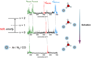 Graphical abstract: Near-infrared spectroscopy of H3O+⋯Xn (X = Ar, N2, and CO, n = 1–3)