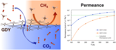 Graphical abstract: Separation of CO2/CH4 gas mixtures using nanoporous graphdiyne and boron-graphdiyne membranes: influence of the pore size
