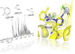 Graphical abstract: Picoplatin binding to proteins: X-ray structures and mass spectrometry data on the adducts with lysozyme and ribonuclease A