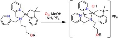 Graphical abstract: Hydroxopalladium(iv) complexes prepared using oxygen or hydrogen peroxide as oxidants