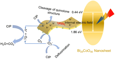 Graphical abstract: Balanced generation of holes and superoxide radicals on Bi25CoO40 sillenite photocatalysts for rapid synergetic degradation of quinolone antibiotics