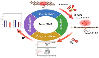 Graphical abstract: Highly coordinated Fe–N5 sites effectively promoted peroxymonosulfate activation for degradation of 4-chlorophenol