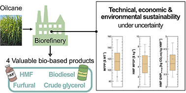 Graphical abstract: Economic and environmental sustainability of bio-based HMF production and recovery from lignocellulosic biomass
